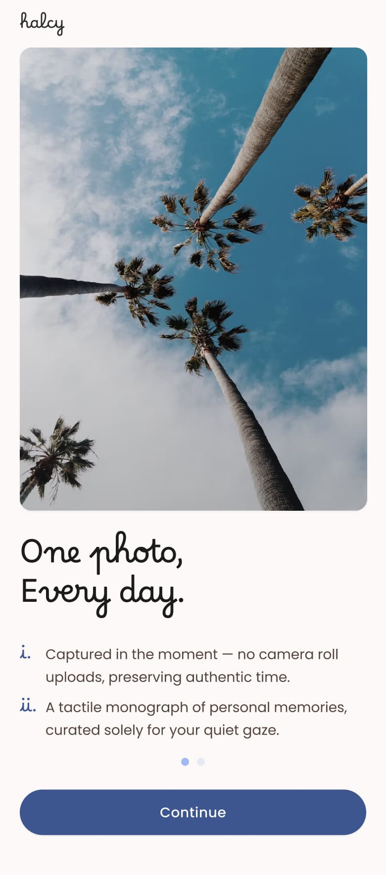Halcy onboarding screen with a photo of palm trees against the sky and notes on capturing in the moment